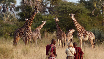 12 Days Tanzanian Dreams Adventure Safaris