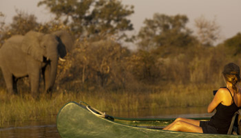 2 Days Southern Safari to Mikumi