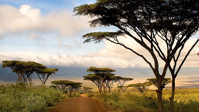 4 Days Tanzania Western Safari to Katavi