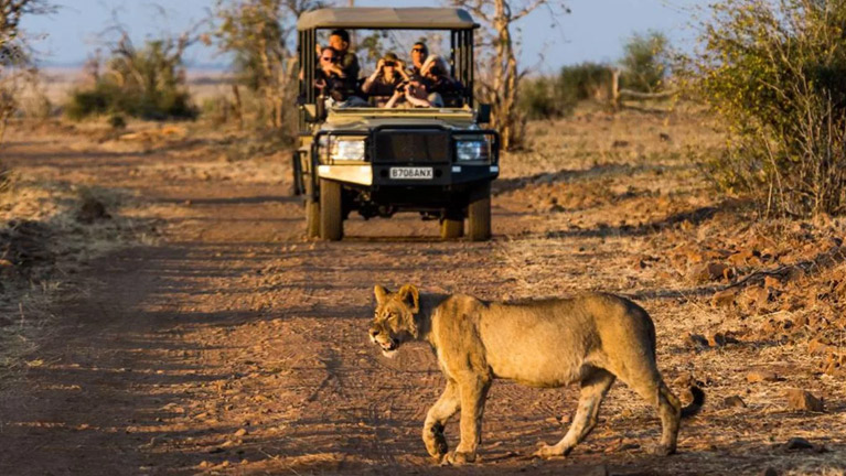 5 Days Africa Eye Catch Wildlife Safaris