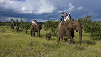 7 Days Tanzania Western Safari to Mahale and Gombe