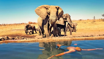 7 Days Tanzania Western Safari to Mahale and Gombe