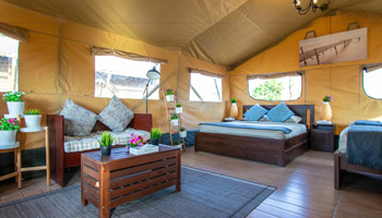 8 Days Tanzania Semi-Luxury Wildlife Safari