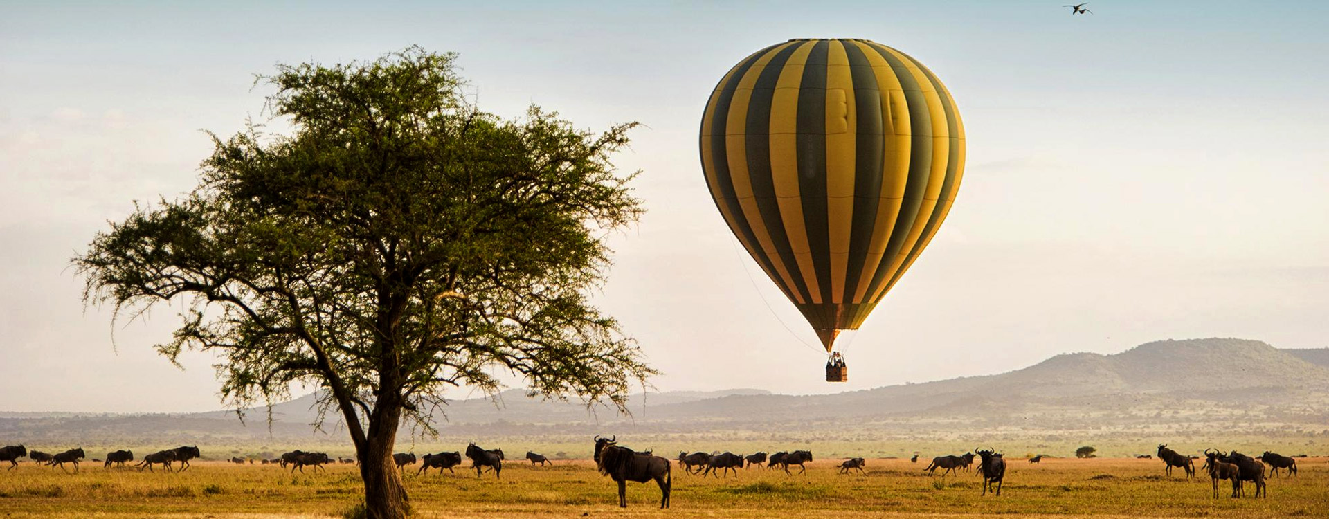 9 Days Tanzania Special Wildebeests Migration & Hot Air Balloon Safari