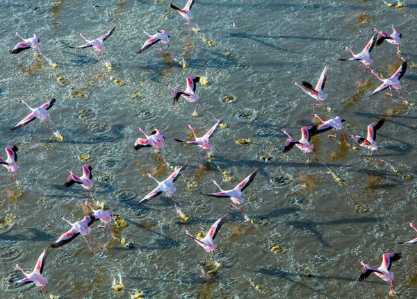 Lake Manyara National park