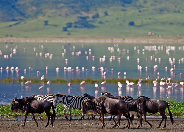Lake Manyara National park