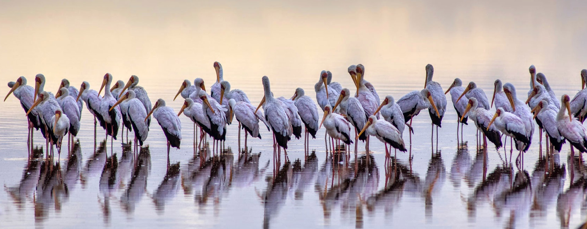 Lake Manyara Day Trip