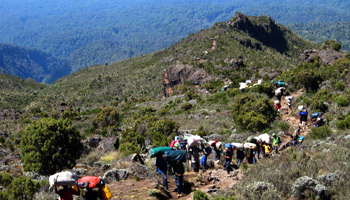 5 Days Marangu Route