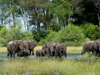 10 Days Best Of Tanzania Southern Circuit Safari