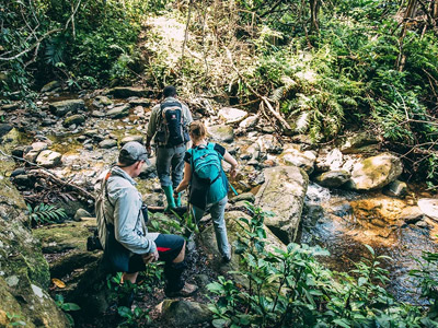 3 Days Tanzania Western Safari to Mahale