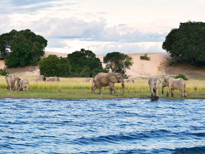 7 Days Tanzania Western Safari to Mahale and Gombe
