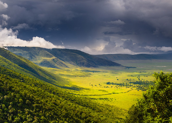Ngorongoro Conservation Area