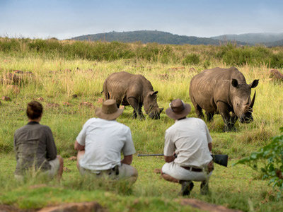 7 Days Tanzania Family Safari