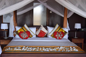 Tarangire Osupuko Lodge