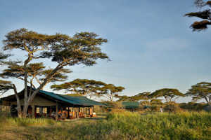 Tanzania Bush Camp