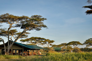 Chaka Migration Camp