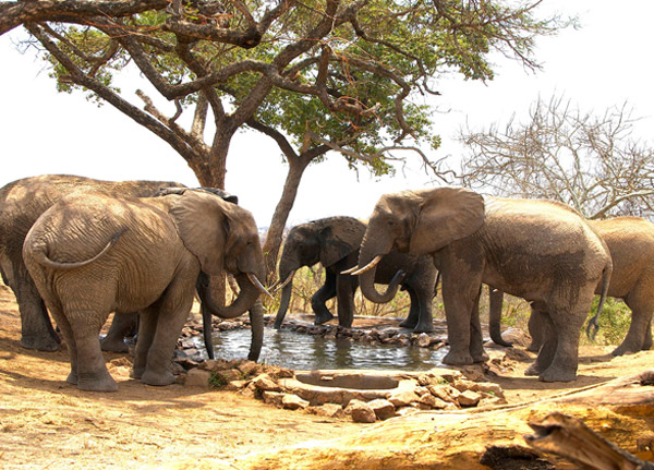 Tarangire National Park