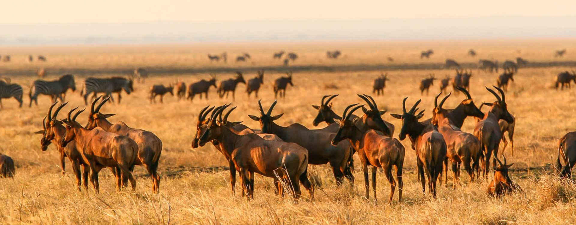 Tanzania Western Circuit